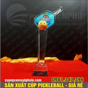 Cúp giải pickleball 16