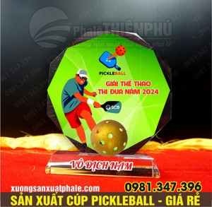 Cúp giải pickleball 01